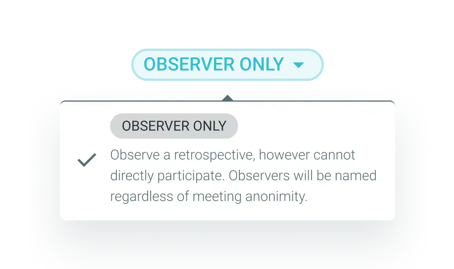 Observer role in TeamRetro